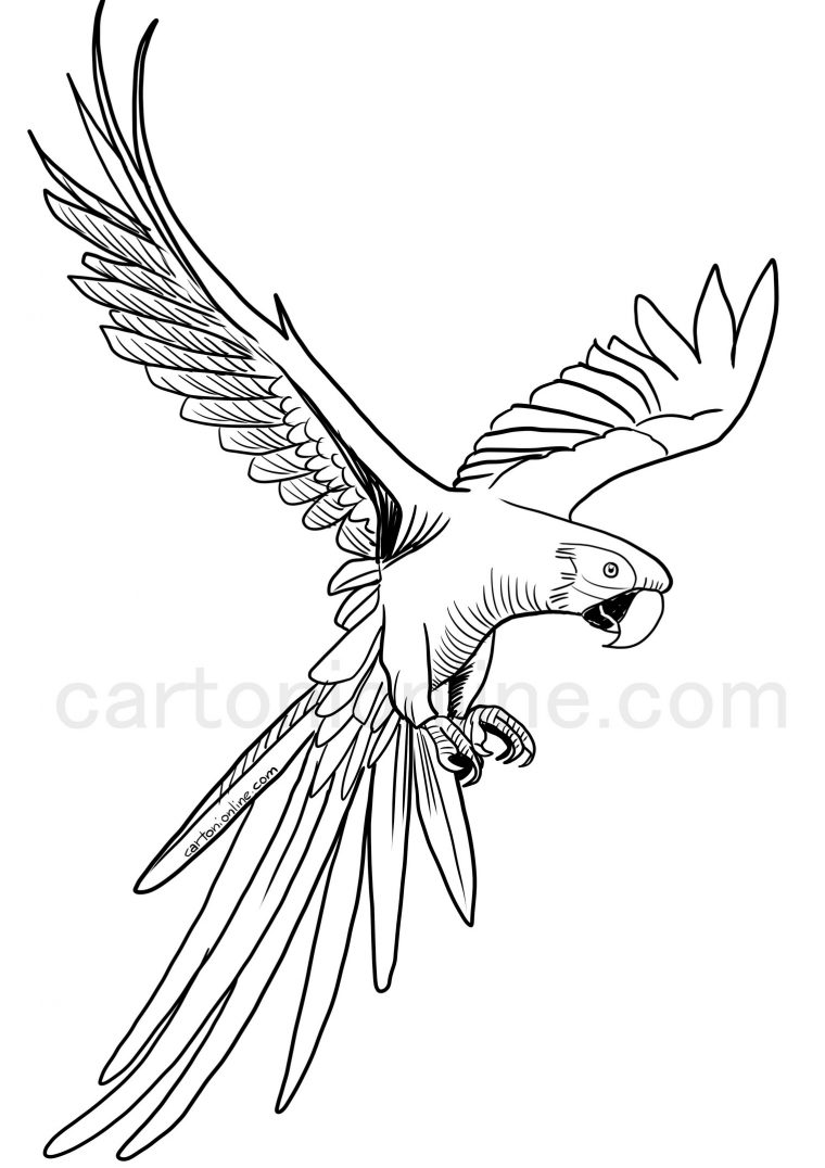 Coloriage De Perroquet Ara Volant encequiconcerne Dessin Perroquet