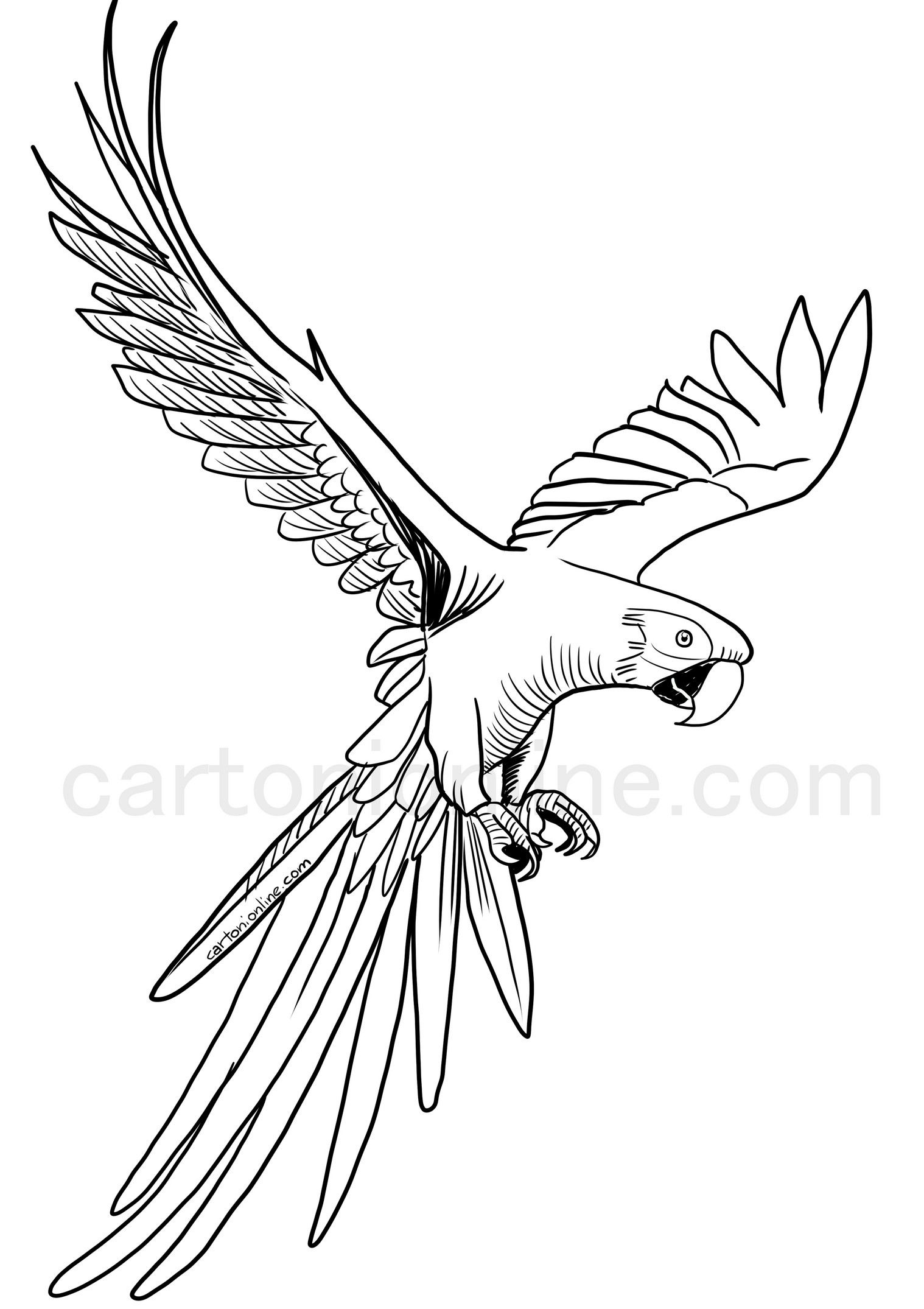 Coloriage De Perroquet Ara Volant encequiconcerne Dessin Perroquet 