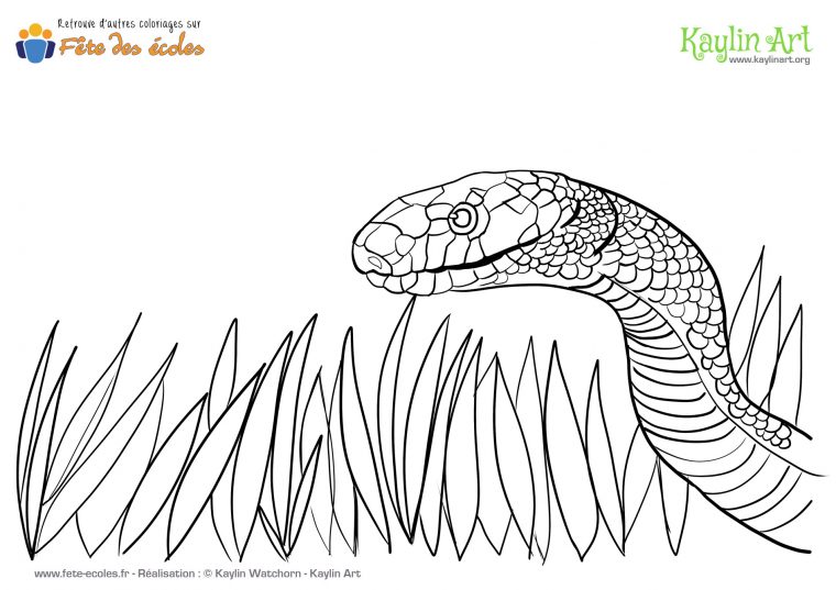 Coloriage De Serpent concernant Coloriage Serpent