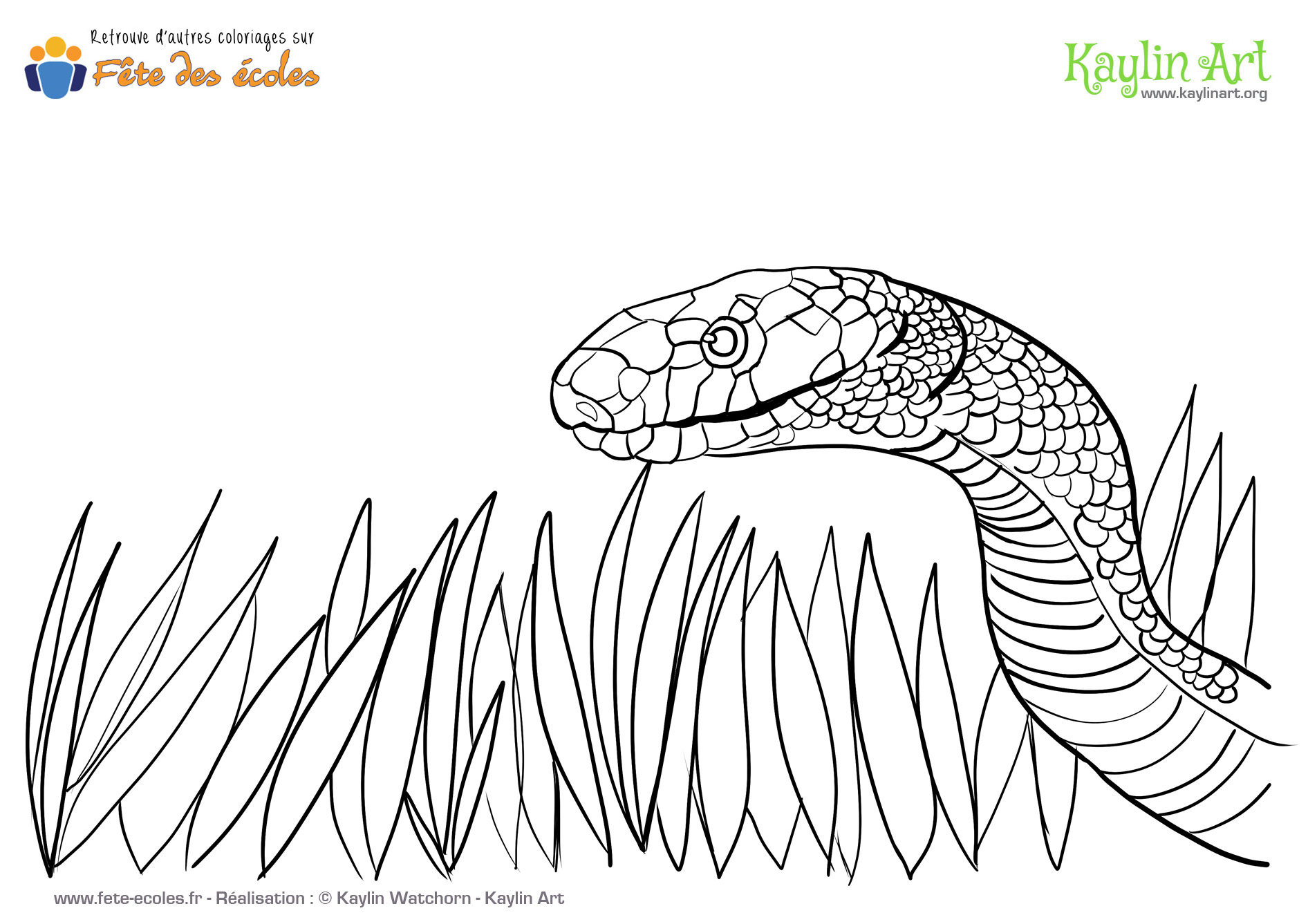 Coloriage De Serpent concernant Coloriage Serpent 