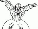 Coloriage De Spiderman Qui Saute - Coloriages De Spiderman destiné Le Dessin Animé De Spiderman