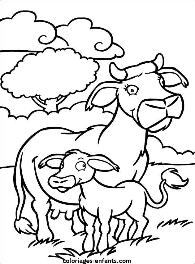 Coloriage De Vaches Sur Coloriages-Enfants avec Dessin De La Vache 