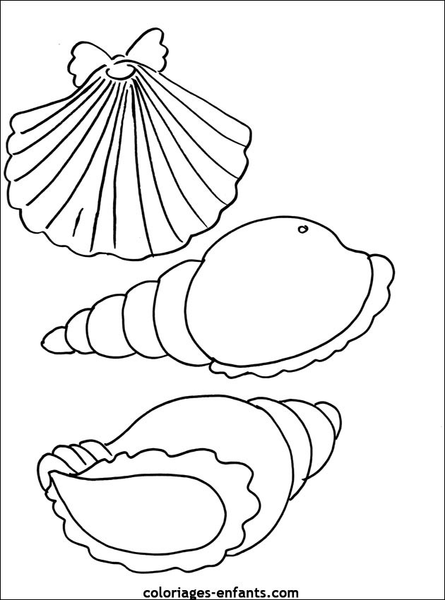 Coloriage Des Coquillages Dessin Gratuit À Imprimer intérieur Coquillage Dessin