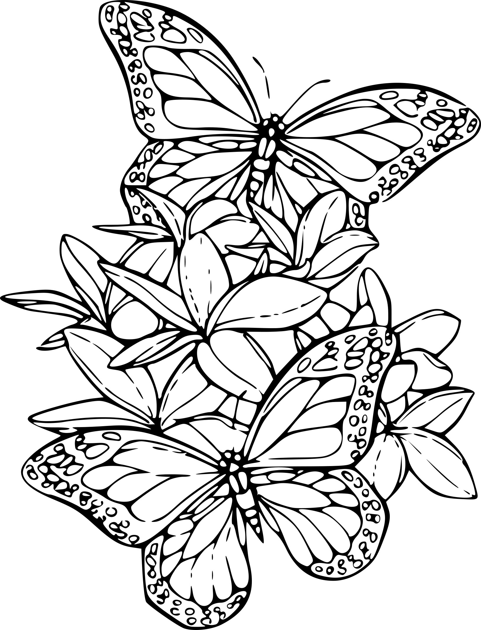 Coloriage Des Papillons À Imprimer Sur Coloriage De concernant Papillon À Colorier 