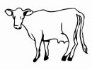 Coloriage Dessin Vache Sur Ordinateur Dessin Gratuit À pour Dessin De La Vache