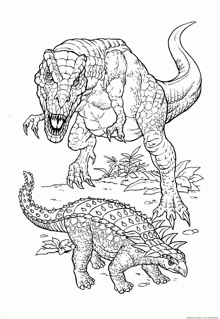 Coloriage Dinosaure—Coloriage A Imprimer  Dinosaur concernant Dessin Dinosaure 