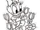 Coloriage Disney Daisy Tulipes Dessin Tulipe À Imprimer pour Coloriages À Imprimer Disney