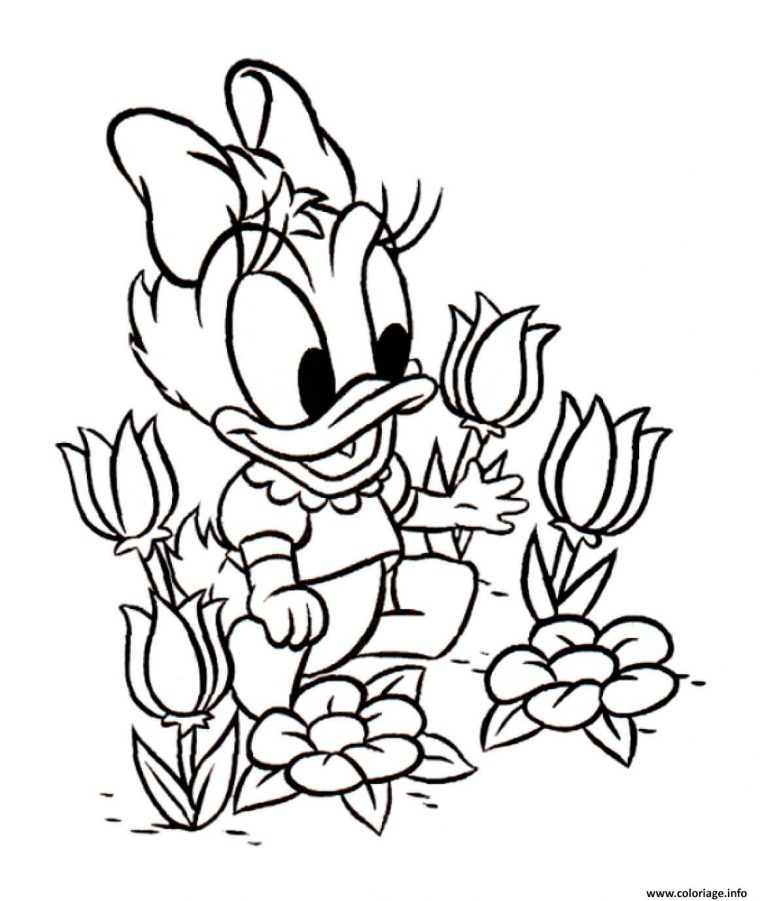 Coloriage Disney Daisy Tulipes Dessin Tulipe À Imprimer pour Coloriages À Imprimer Disney