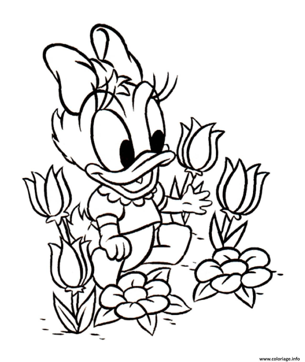 Coloriage Disney Daisy Tulipes Dessin Tulipe À Imprimer pour Coloriages À Imprimer Disney 