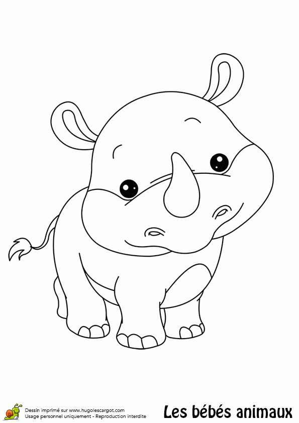 Coloriage D'Un Adorable Bébé Rhinocéros tout Dessin De Bébé Animaux
