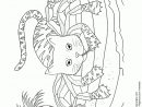 Coloriage D'Un Animal À Moitié Chat Et Crabe destiné Coloriage Animaux Rigolo
