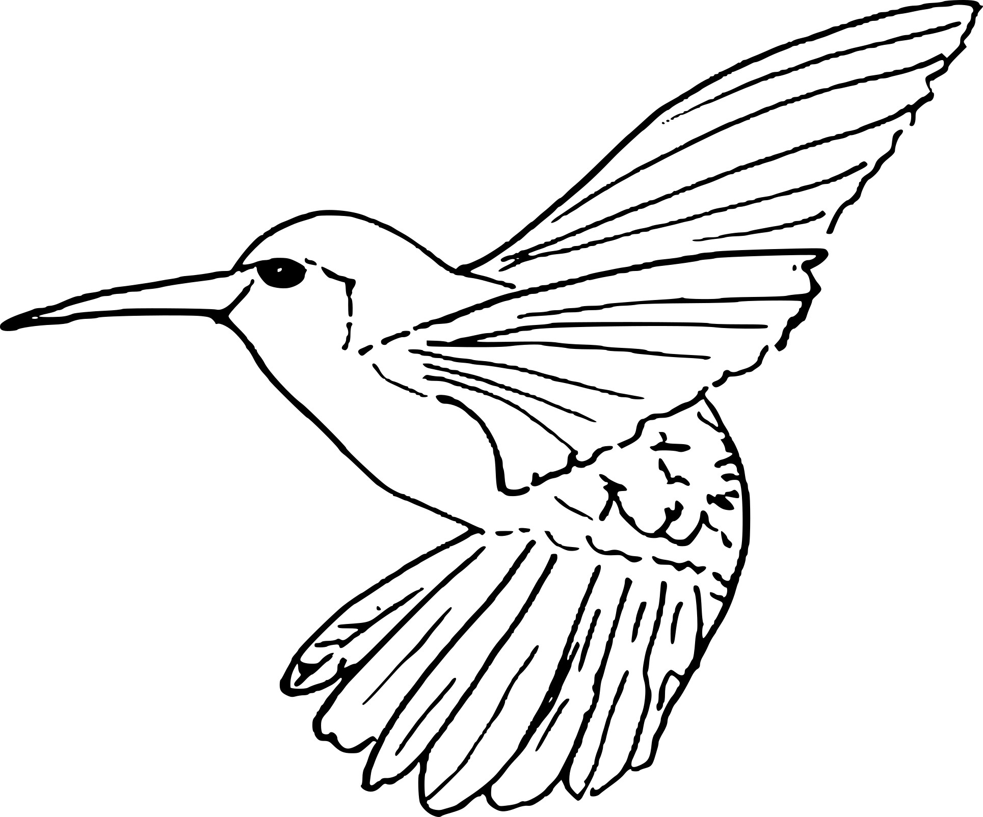 Coloriage D&amp;#039;Un Oiseau Qui Vole À Imprimer Sur Coloriage De concernant Dessine Un Oiseau 