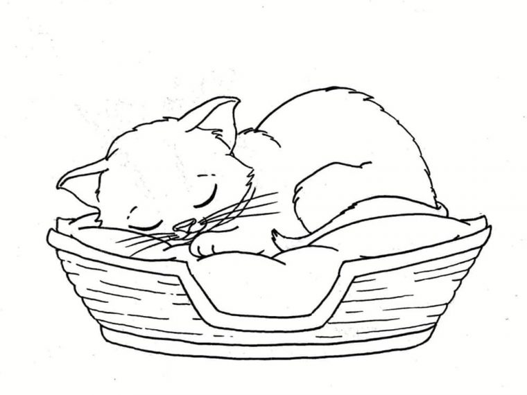 Coloriage D'Un Petit Chat Qui Fait Un Grand Sourire intérieur Images De Chats A Imprimer