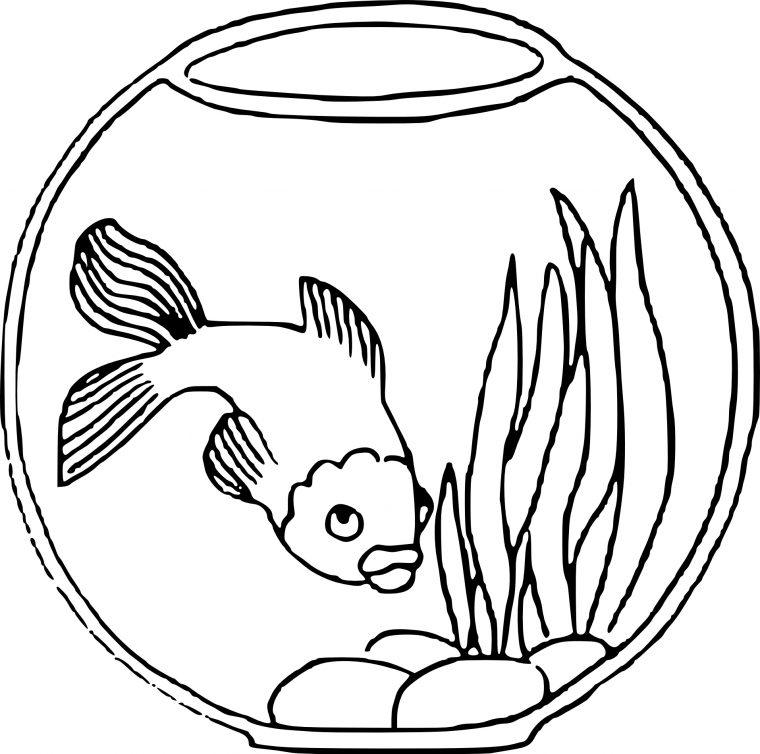 Coloriage D'Un Poisson Dans Un Bocal À Imprimer Sur avec Poisson Coloriage