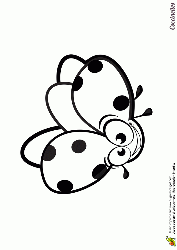 Coloriage D&amp;#039;Une Coccinelle En Vol intérieur Dessiner Coccinelle 