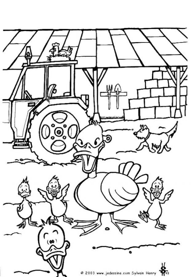 Coloriage D&amp;#039;Une Ferme Avec Une Basse-Cour, Des Poussins tout Dessin De La Ferme 