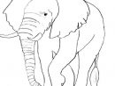 Coloriage Éléphant #6316 (Animaux) - Album De Coloriages destiné Coloriage Elephant