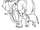 Coloriage Éléphant #6337 (Animaux) - Album De Coloriages encequiconcerne Coloriage Elephant