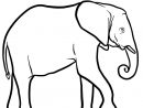 Coloriage Elephant Afrique Australe Dessin Animaux concernant Coloriage Les Animaux Sauvages