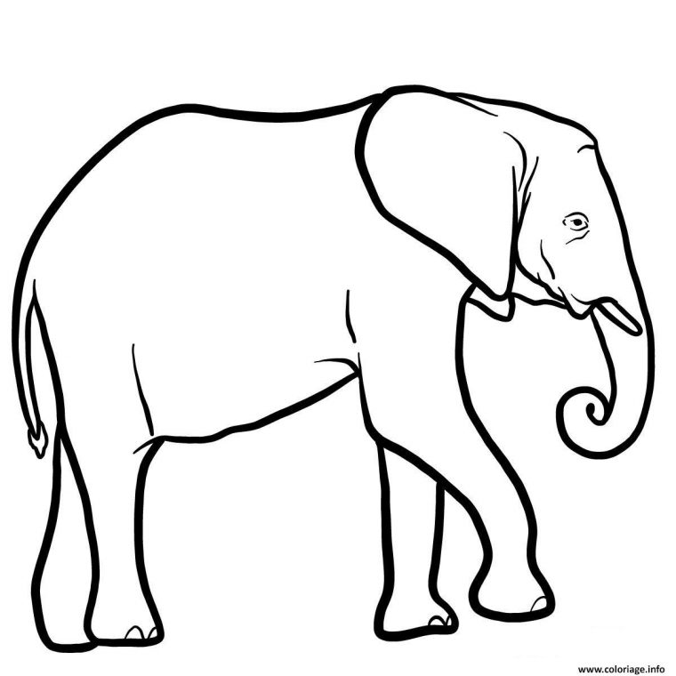 Coloriage Elephant Afrique Australe Dessin Animaux concernant Coloriage Les Animaux Sauvages