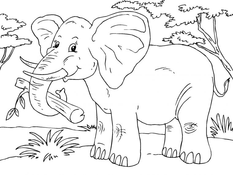 Coloriage Éléphant – Coloriages Gratuits À Imprimer avec Éléphant Coloriage