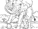 Coloriage Éléphant Course En Ligne Gratuit À Imprimer encequiconcerne Éléphant Coloriage