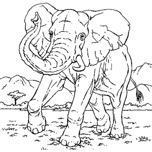 Coloriage Éléphant Course En Ligne Gratuit À Imprimer encequiconcerne Éléphant Coloriage 