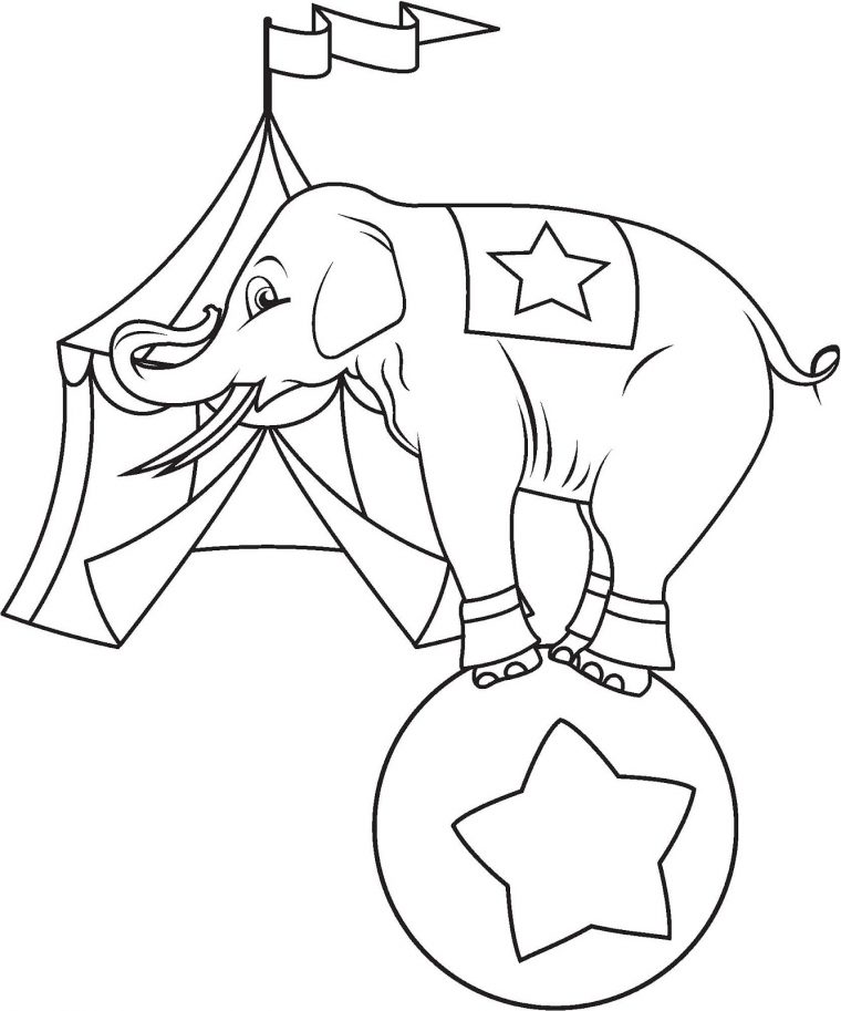 Coloriage Éléphant De Cirque Et Chapiteau Gratuit À Imprimer avec Coloriage Chapiteau