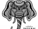 Coloriage Elephant Indian Adulte Zentangle Dessin Elephant encequiconcerne Dessin D Éléphant À Colorier