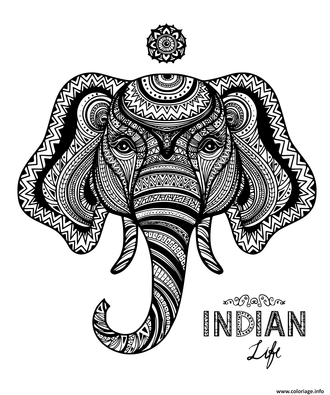 Coloriage Elephant Indian Adulte Zentangle Dessin Elephant encequiconcerne Dessin D Éléphant À Colorier