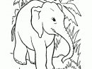 Coloriage Elephant Jungle Sur Hugolescargot dedans Coloriage Savane Africaine