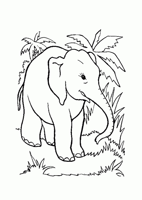 Coloriage Elephant Jungle Sur Hugolescargot dedans Coloriage Savane Africaine 