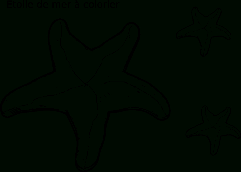 Coloriage Etoile De Mer Gratuit À Imprimer Et Colorier avec Etoile A Colorier 