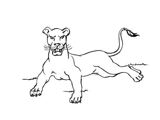 Coloriage Félin 2 - Coloriage Felins - Coloriages Animaux destiné Coloriage Félins 