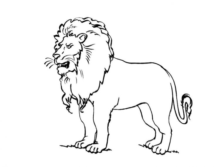 Coloriage Félin 6 – Coloriage Felins – Coloriages Animaux destiné Coloriage Félins