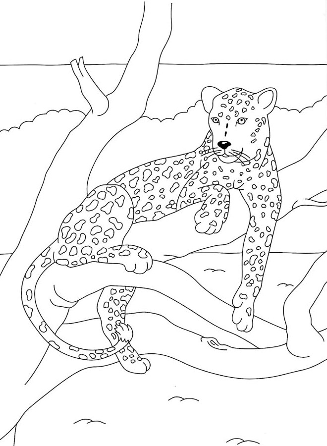 Coloriage Felin A Imprimer dedans Coloriage Félins 