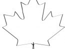 Coloriage Feuille D'Érable Canada Dessin Gratuit À Imprimer serapportantà Drapeau Canadien À Colorier