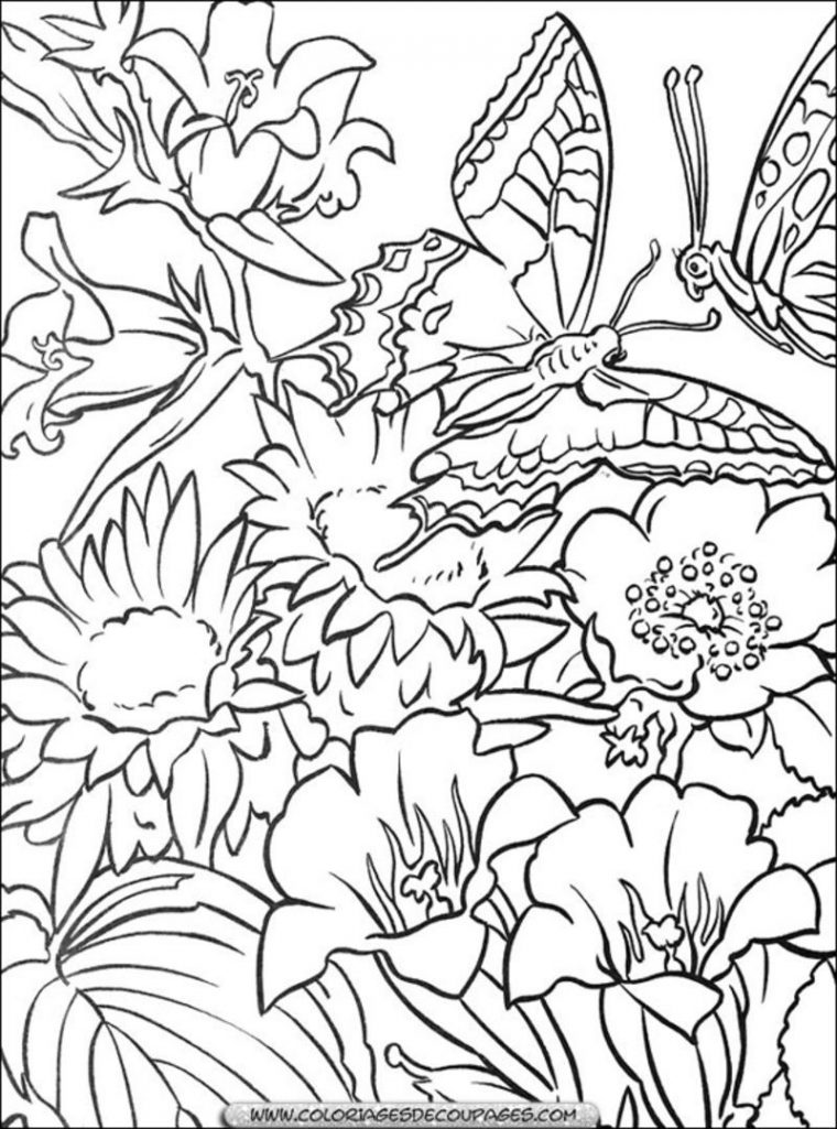 Coloriage Fleur Et Plante – Page 2 concernant Fleur Coloriage