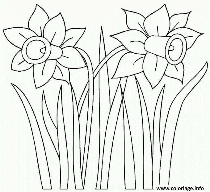 Coloriage Fleur Jonquille Dessin Fleurs À Imprimer dedans Dessin De Fleurs À Colorier 