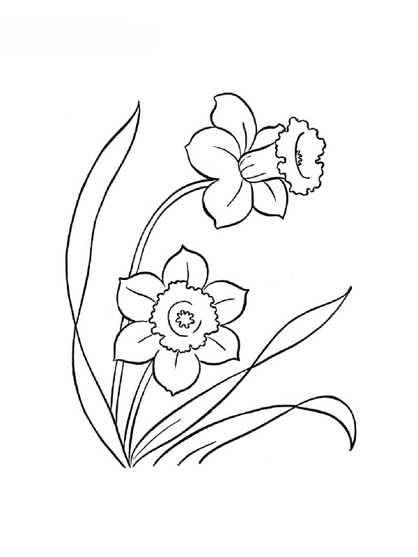 Coloriage Fleurs #155250 (Nature) - Album De Coloriages destiné Fleur Coloriage A Imprimer 