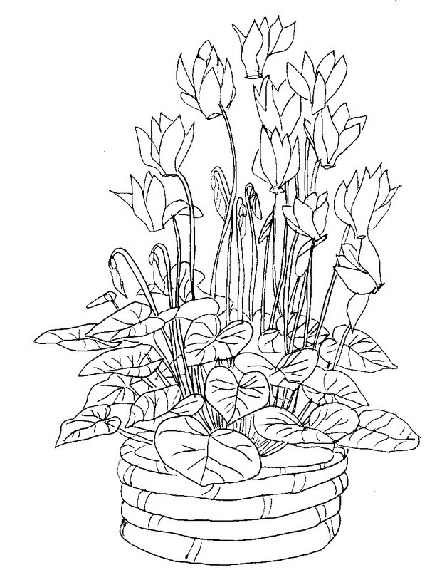 Coloriage Fleurs Dans La Nature Dessin Gratuit À Imprimer pour Dessin De Fleurs À Colorier 