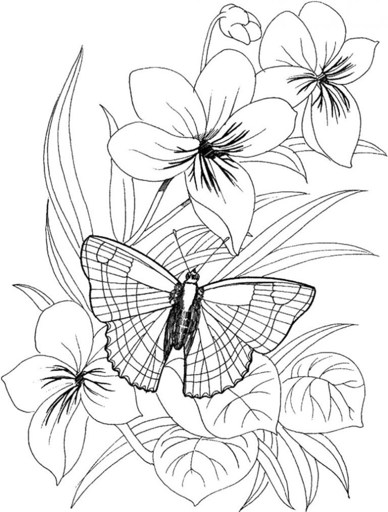 Coloriage Fleurs. De Belles Images Pour La Créativité Des concernant Coloriage De Fleur