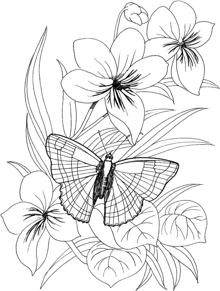 Coloriage Fleurs. De Belles Images Pour La Créativité Des concernant Coloriages De Fleurs 