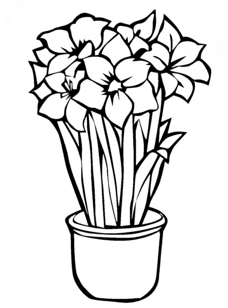 Coloriage Fleurs. De Belles Images Pour La Créativité Des destiné Coloriages De Fleurs