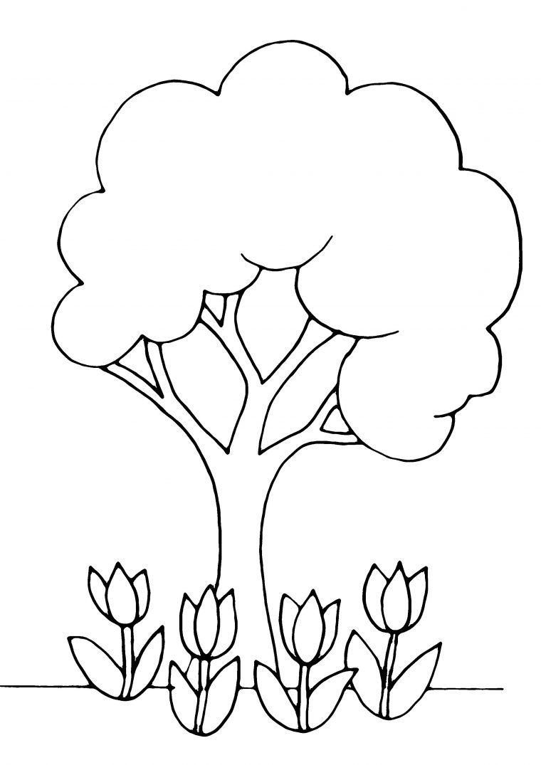 Coloriage – Fleurs, Fruits Et Légumes : Arbre 01 – 10 Doigts pour Dessin A Décalquer