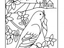 Coloriage - Fleurs, Fruits Et Légumes : Fleurs Et Oiseau concernant Coloriage Fleur Et Papillon A Imprimer