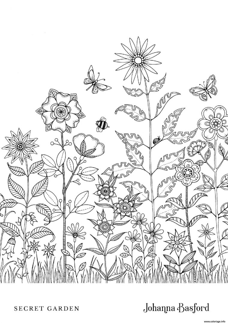 Coloriage Flower Meadow From Secret Garden Dessin Adulte destiné Coloriage Jungle À Imprimer