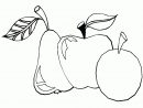 Coloriage Fruits : Pomme, Poire, Prune intérieur Coloriage Pomme