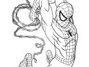 Coloriage Garcon Super Heros Marvel Spiderman Dessin Super dedans Coloriage De Super Heros