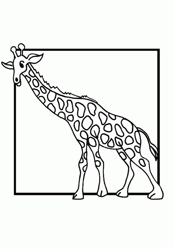 Coloriage Girafe 6 Sur Hugolescargot à Coloriage Girafe 